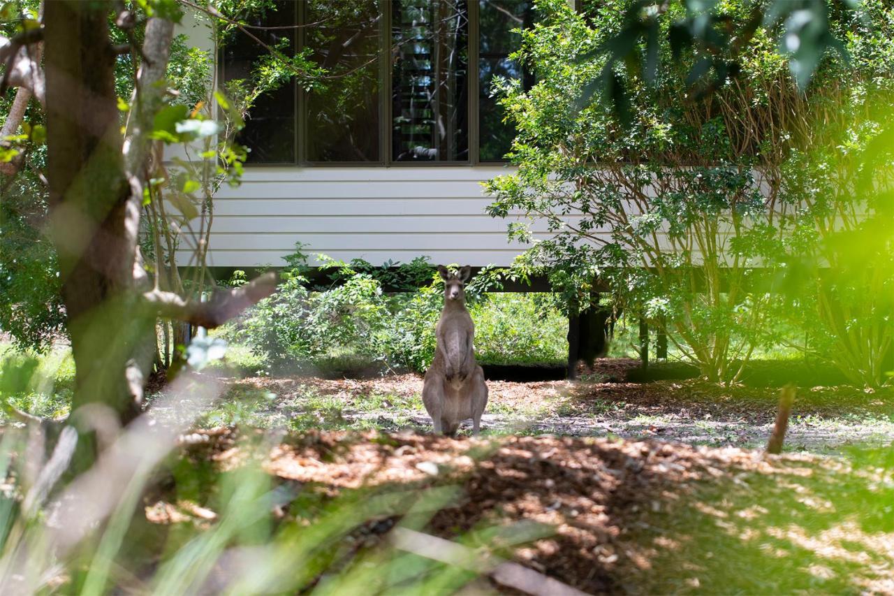 Eumarella Shores Noosa Lake Retreat Noosaville Bagian luar foto