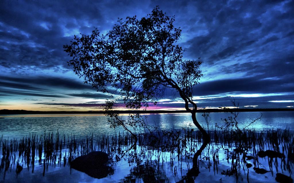 Eumarella Shores Noosa Lake Retreat Noosaville Bagian luar foto